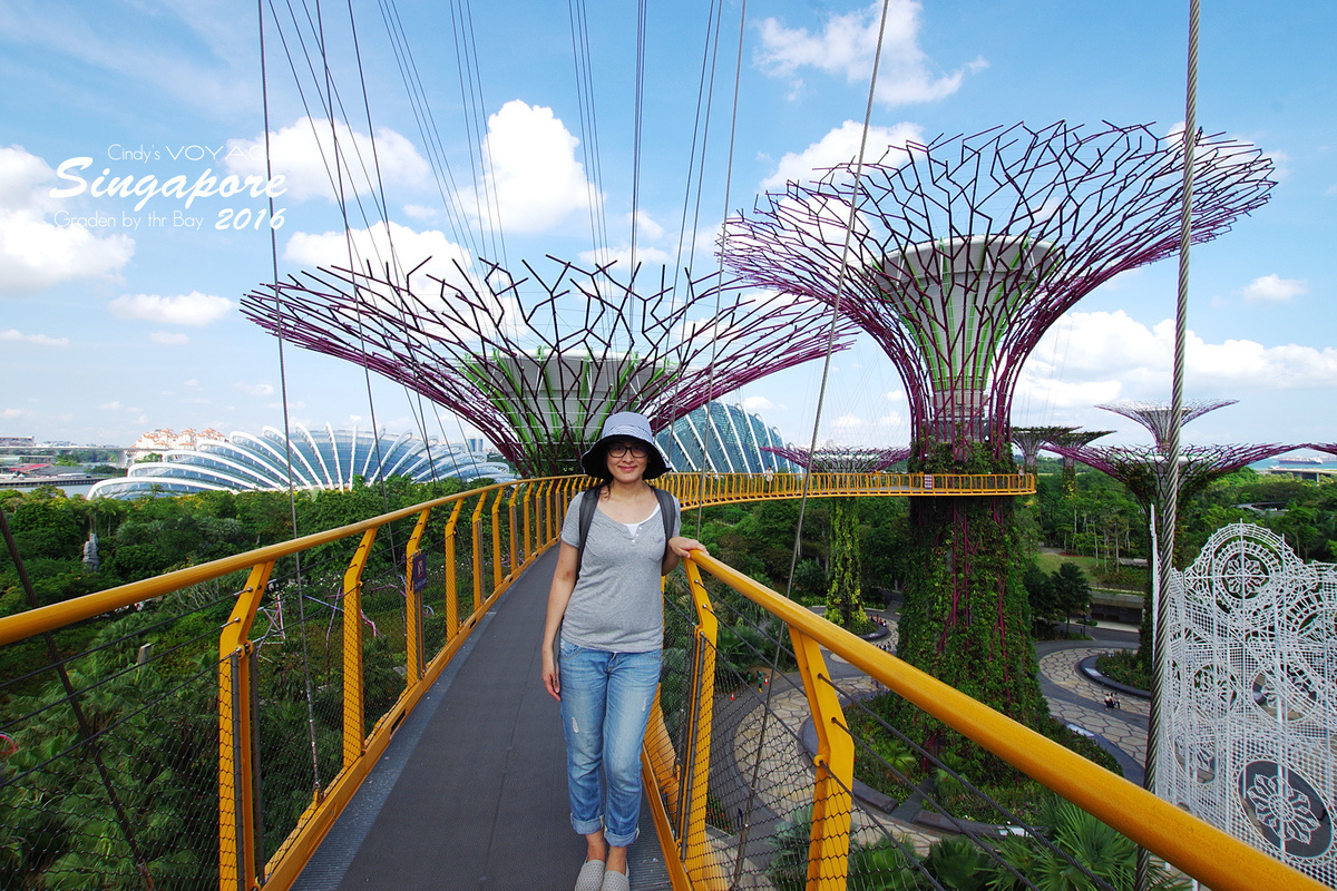 [2016。新加坡] 爬上 Super Tree 眺望『濱海灣花園 Garden by the Bay』美景 (含交通資訊) @兔兒毛毛姊妹花