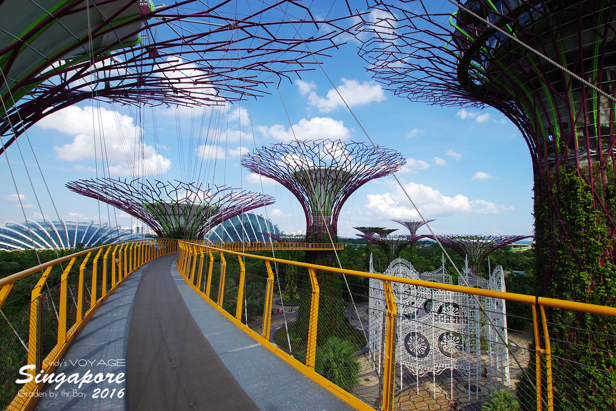 [2016。新加坡] 爬上 Super Tree 眺望『濱海灣花園 Garden by the Bay』美景 (含交通資訊) @兔兒毛毛姊妹花