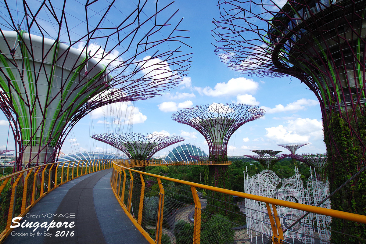 [2016。新加坡] 爬上 Super Tree 眺望『濱海灣花園 Garden by the Bay』美景 (含交通資訊) @兔兒毛毛姊妹花