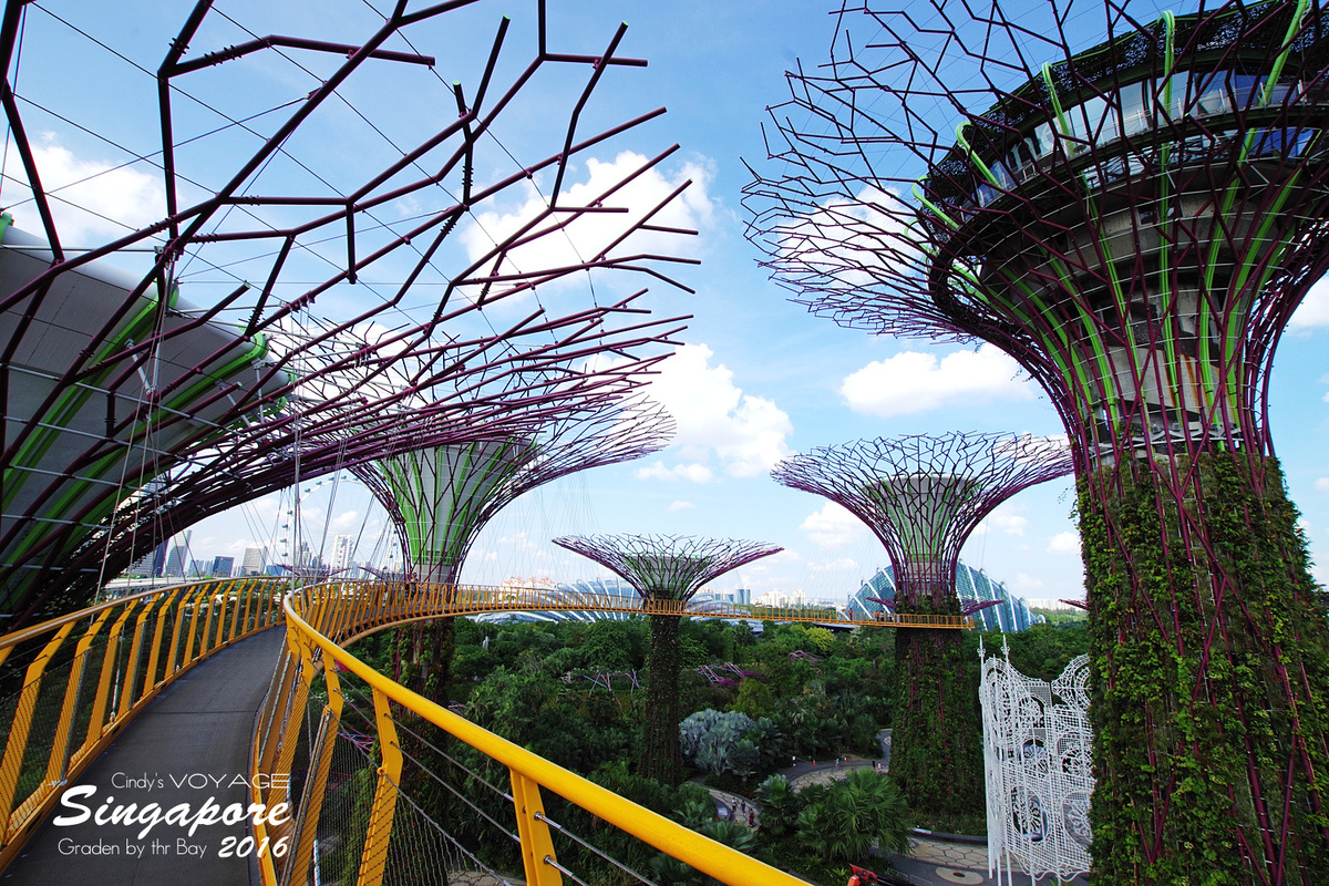 [2016。新加坡] 爬上 Super Tree 眺望『濱海灣花園 Garden by the Bay』美景 (含交通資訊) @兔兒毛毛姊妹花