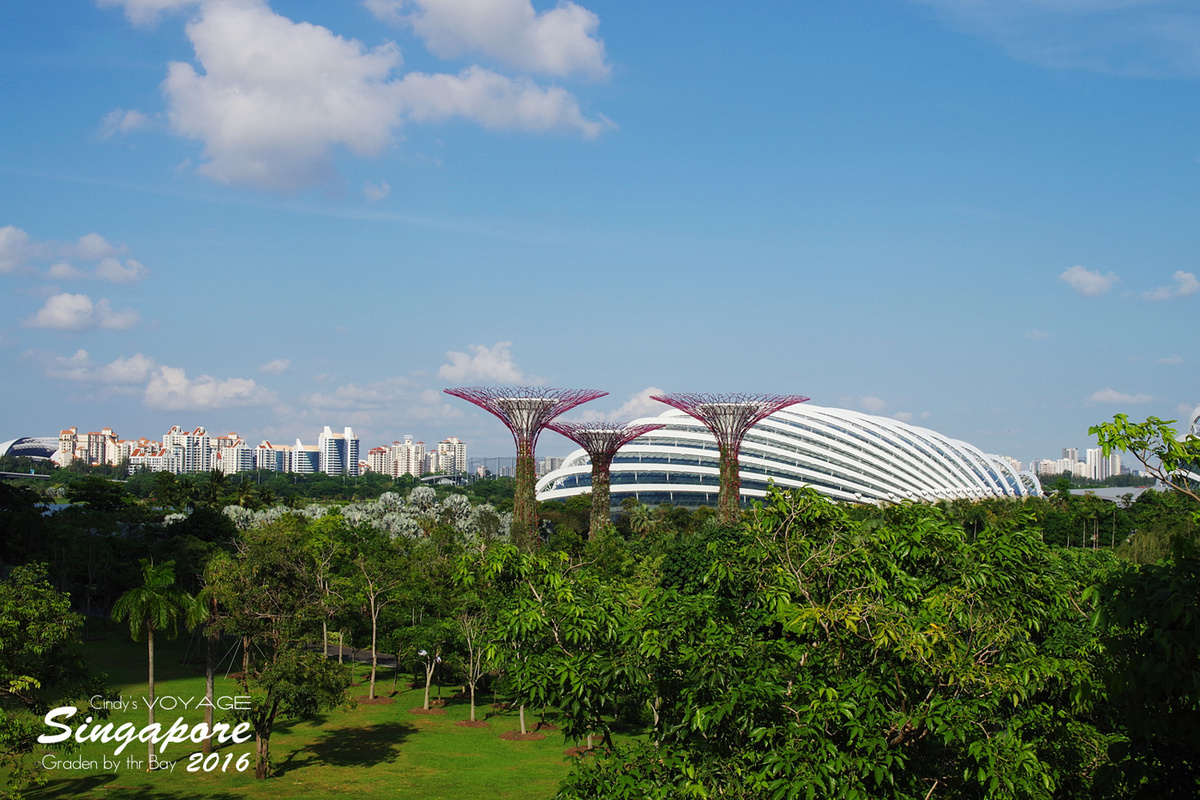 [2016。新加坡] 爬上 Super Tree 眺望『濱海灣花園 Garden by the Bay』美景 (含交通資訊) @兔兒毛毛姊妹花