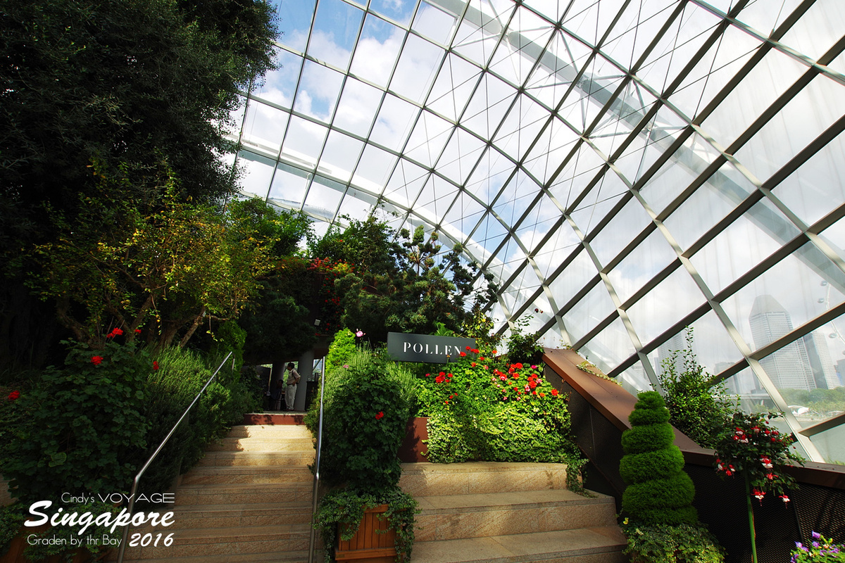 [2016。新加坡] 花穹 Flower Dome～不只賞花，更是濱海灣花園內遮陽避雨吹冷氣好去處～ (濱海灣花園交通資訊) @兔兒毛毛姊妹花