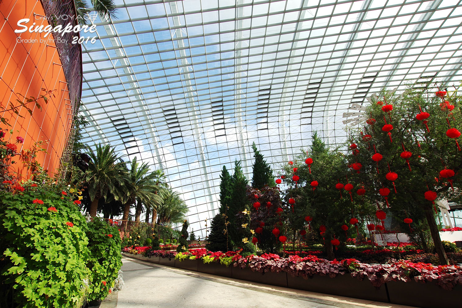 [2016。新加坡] 花穹 Flower Dome～不只賞花，更是濱海灣花園內遮陽避雨吹冷氣好去處～ (濱海灣花園交通資訊) @兔兒毛毛姊妹花