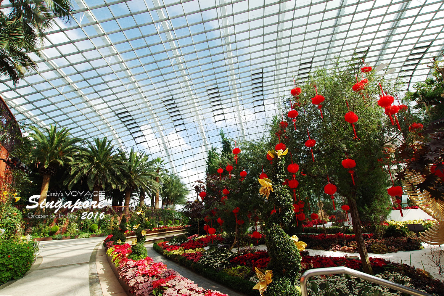 [2016。新加坡] 花穹 Flower Dome～不只賞花，更是濱海灣花園內遮陽避雨吹冷氣好去處～ (濱海灣花園交通資訊) @兔兒毛毛姊妹花