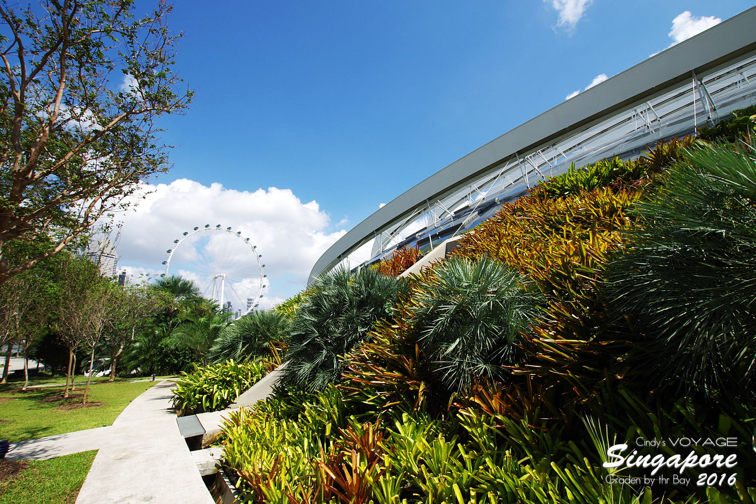 [2016。新加坡] 花穹 Flower Dome～不只賞花，更是濱海灣花園內遮陽避雨吹冷氣好去處～ (濱海灣花園交通資訊) @兔兒毛毛姊妹花