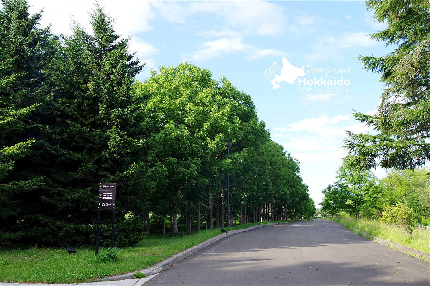 [北海道|親子|自駕] モエレ沼公園 (MOERENUMA PARK)～幾何造型遊樂設施 x 設計感綠化公園～札幌親子景點｜溜滑梯公園｜免費景點 @兔兒毛毛姊妹花