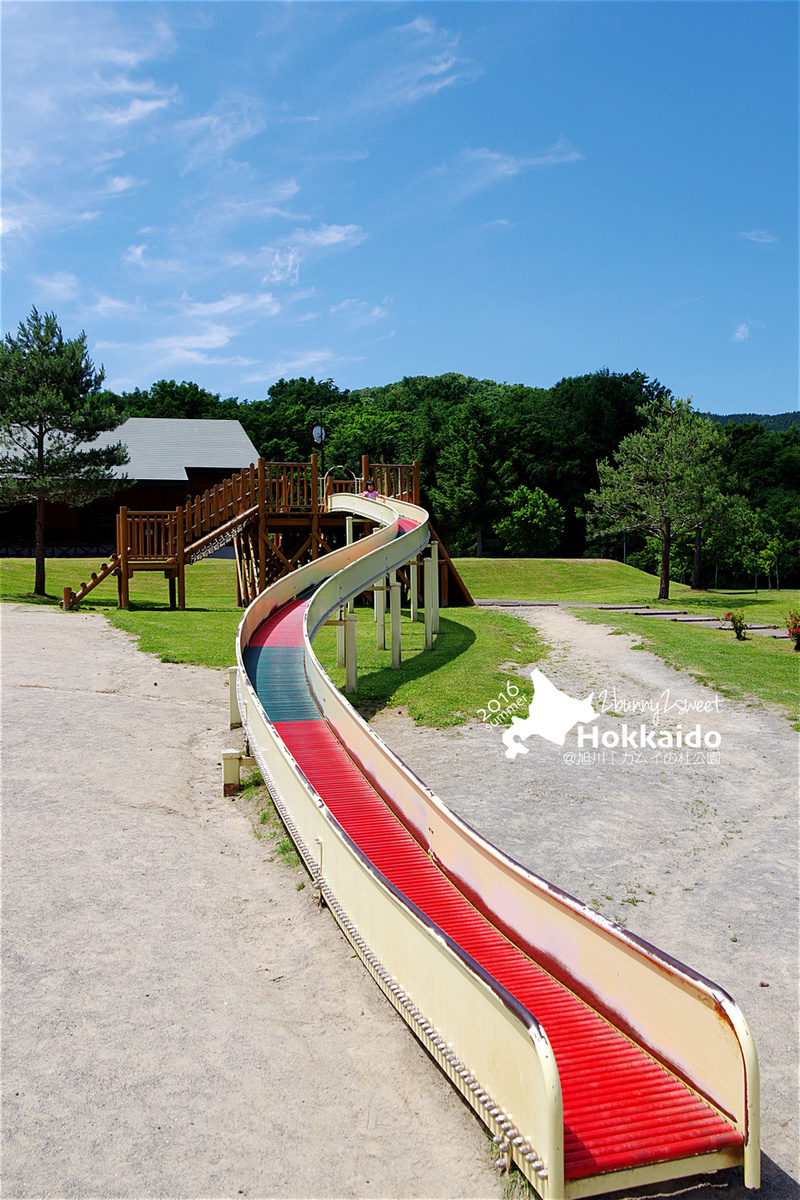 [北海道|親子|自駕] 神威の杜公園 (カムイの杜公園)~室內室外都超好玩的無料公園～旭川親子景點｜溜滑梯公園｜免費景點｜室內樂園 @兔兒毛毛姊妹花