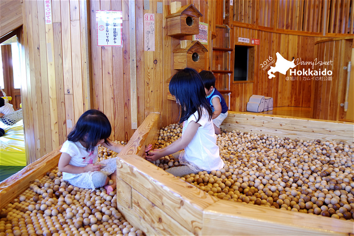 [北海道|親子|自駕] 神威の杜公園 (カムイの杜公園)~室內室外都超好玩的無料公園～旭川親子景點｜溜滑梯公園｜免費景點｜室內樂園 @兔兒毛毛姊妹花