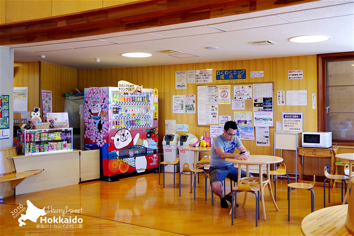 [北海道|親子|自駕] 神威の杜公園 (カムイの杜公園)~室內室外都超好玩的無料公園～旭川親子景點｜溜滑梯公園｜免費景點｜室內樂園 @兔兒毛毛姊妹花