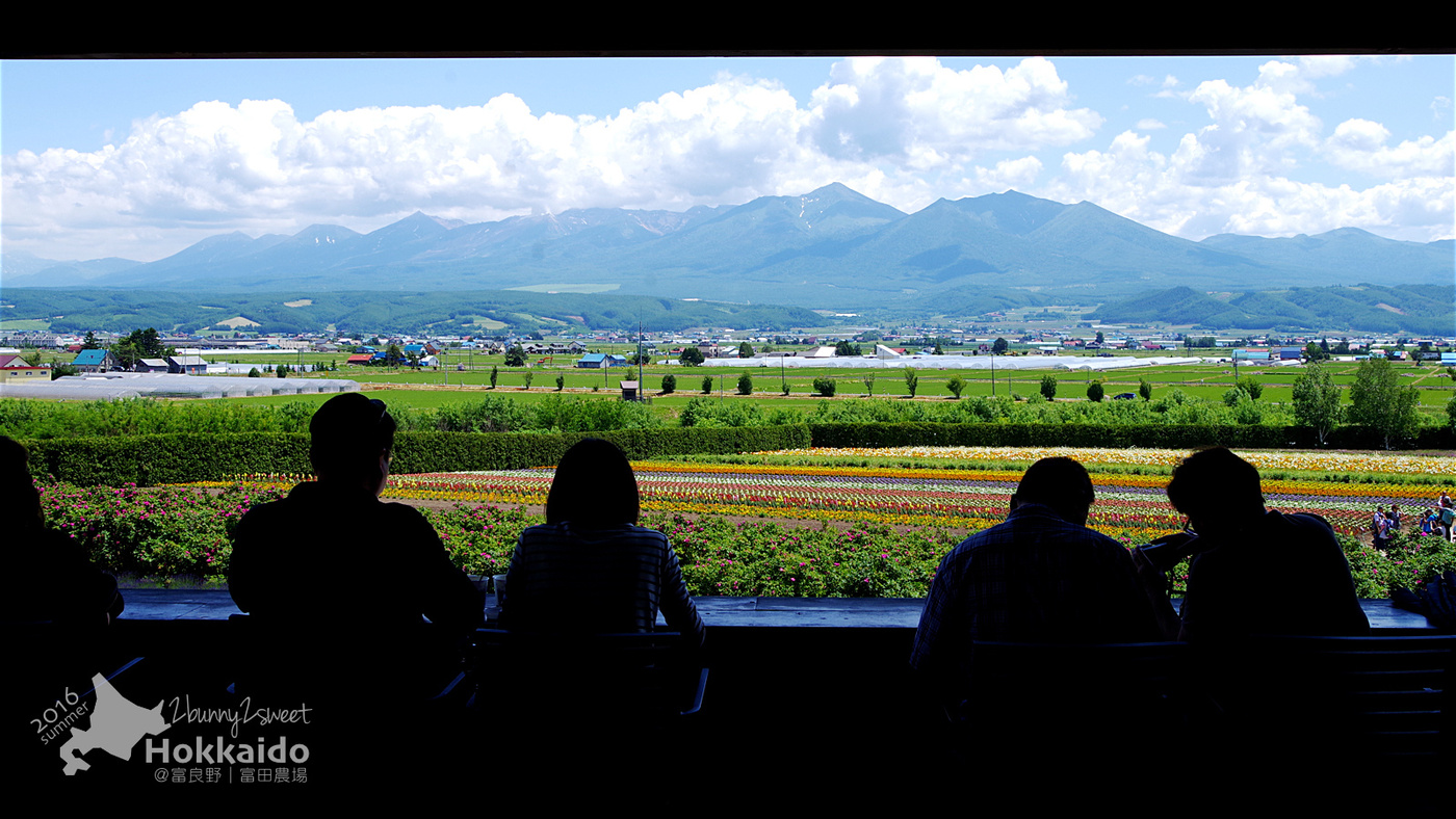 [北海道|親子|自駕] 富田農場｜ Farm Tomita｜ファーム富田～夏季遊北海道絕不可錯過的薰衣草花海美景 (初夏薰衣草花海)｜富良野免費景點 @兔兒毛毛姊妹花