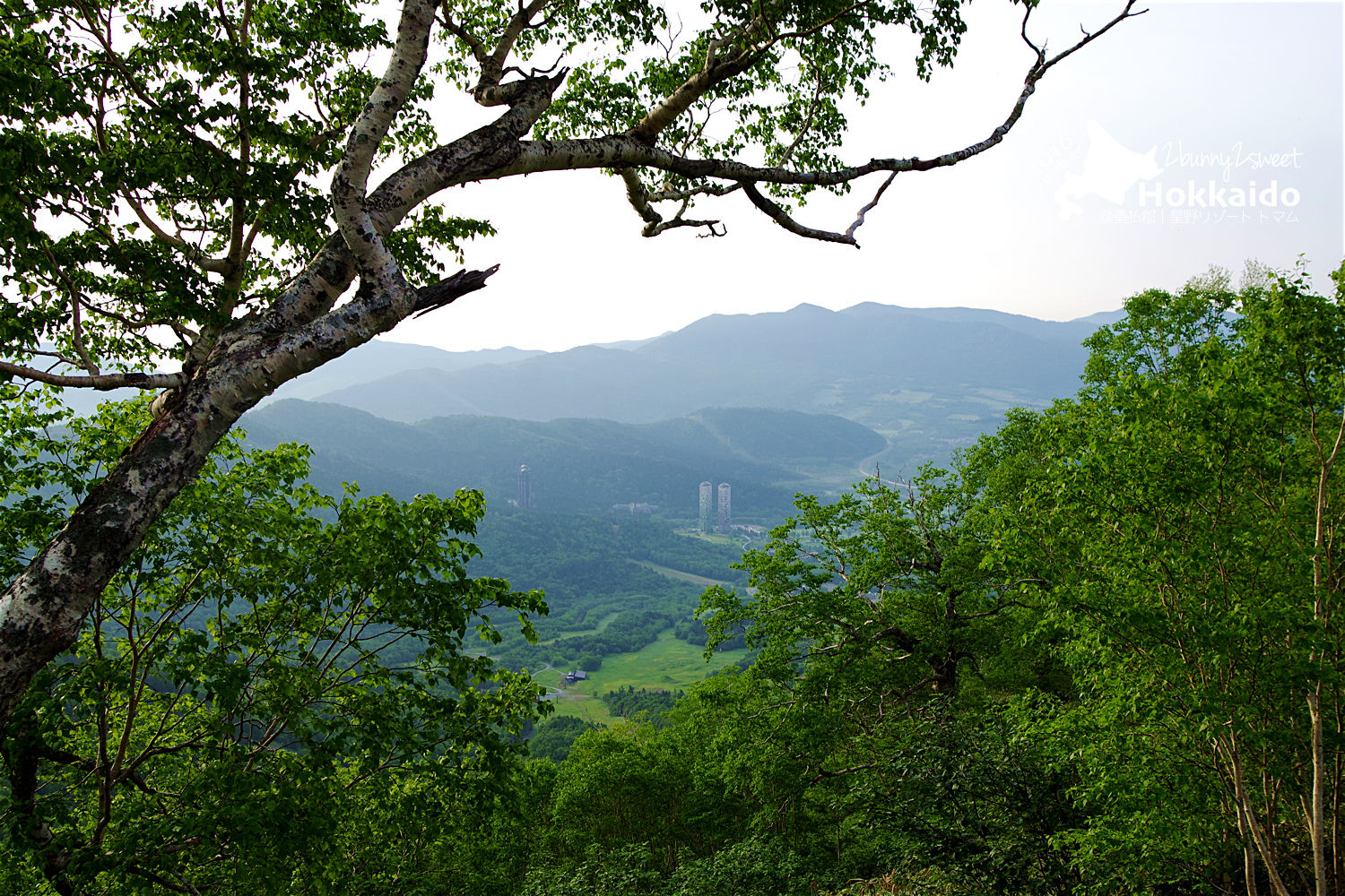 [北海道|親子|自駕]  星野 TOMAMU 渡假村 (星野リゾート トマム )～擁抱自然、悠閒玩樂～入住 星野 TOMAMU 渡假村才知道什麼是度假啊 @兔兒毛毛姊妹花