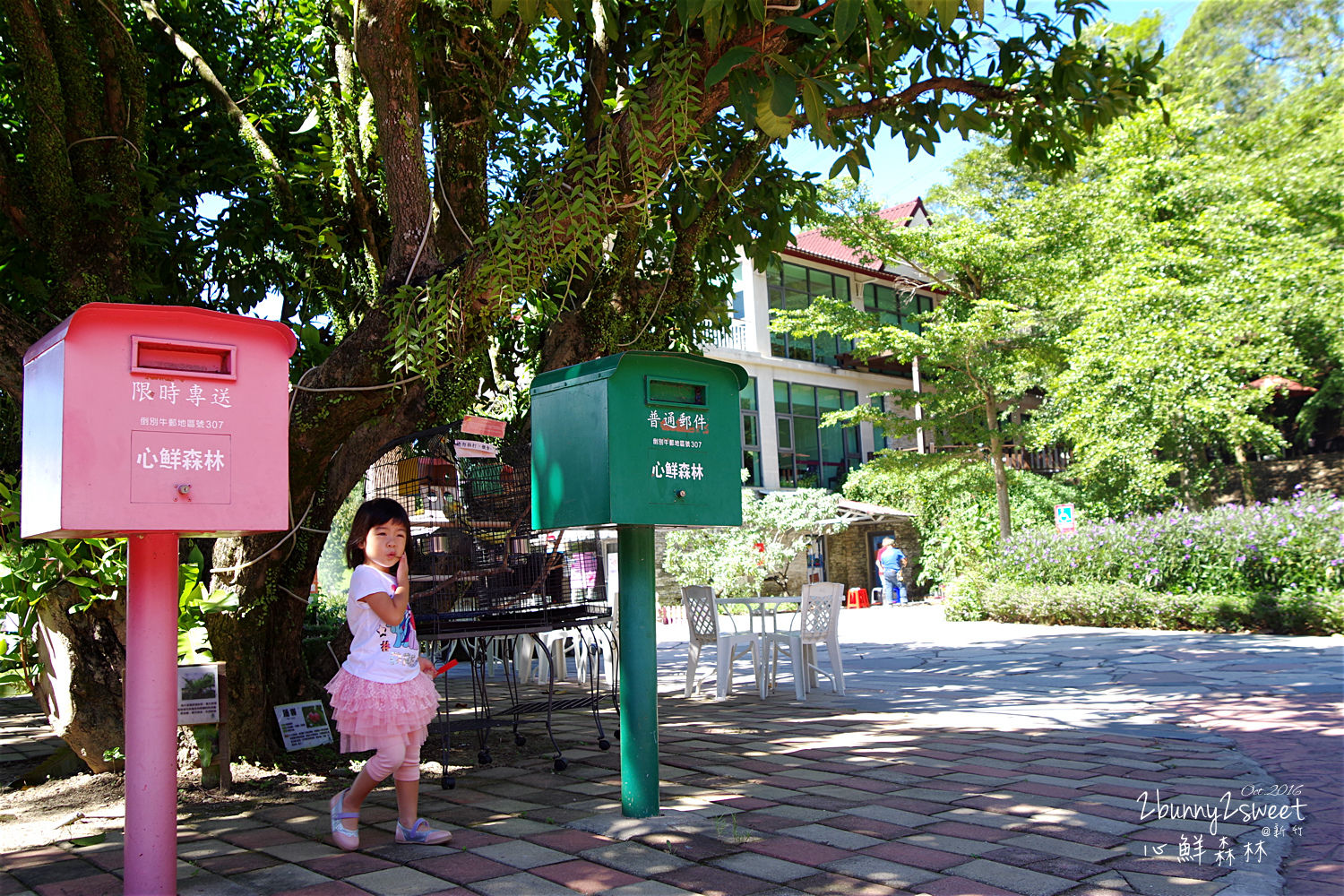 [新竹。親子景點] 心鮮森林莊園餐廳～沙坑、水池、DIY、大草坪、小火車、庭園造景～好好拍的庭園餐廳 @兔兒毛毛姊妹花