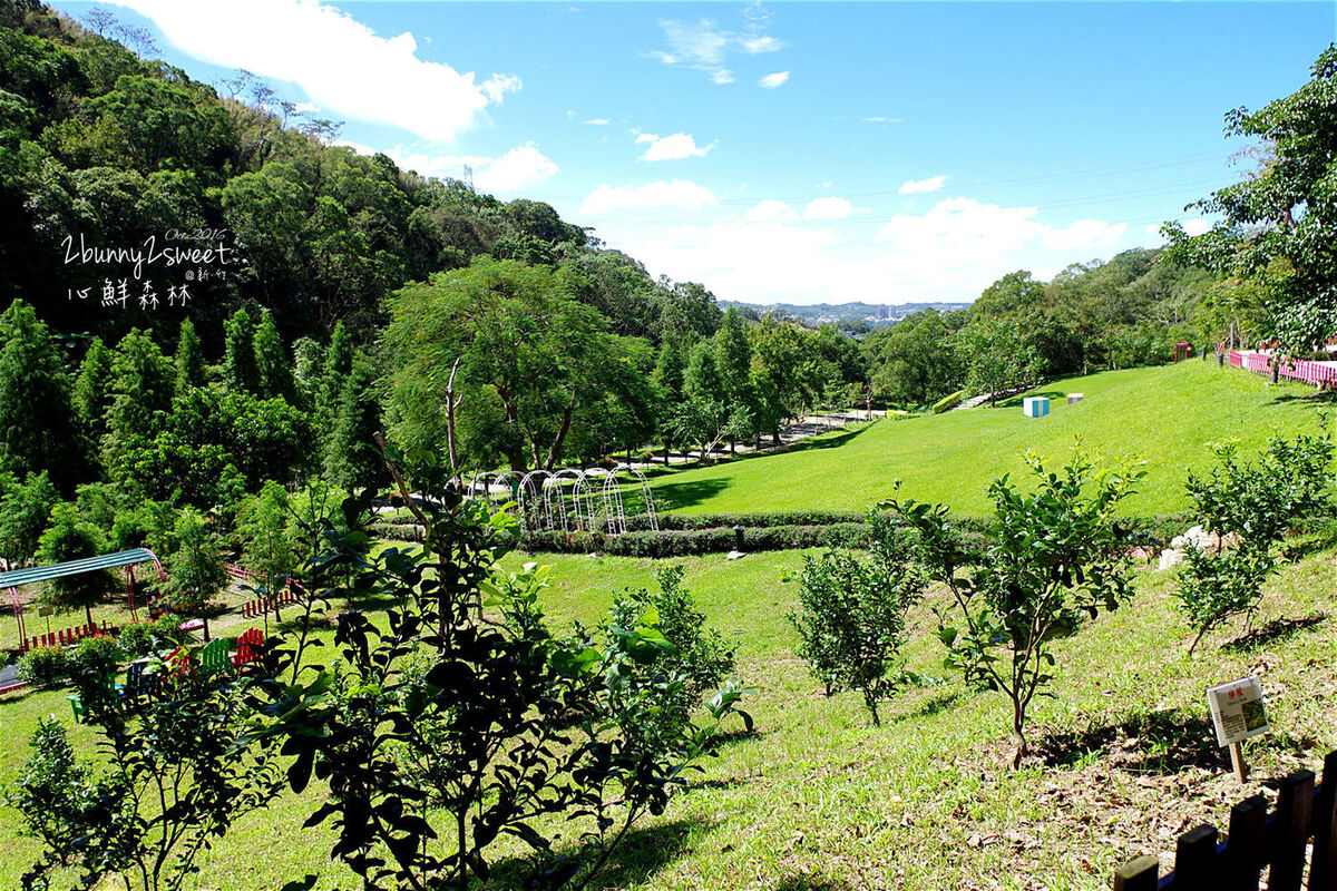 [新竹。親子景點] 心鮮森林莊園餐廳～沙坑、水池、DIY、大草坪、小火車、庭園造景～好好拍的庭園餐廳 @兔兒毛毛姊妹花