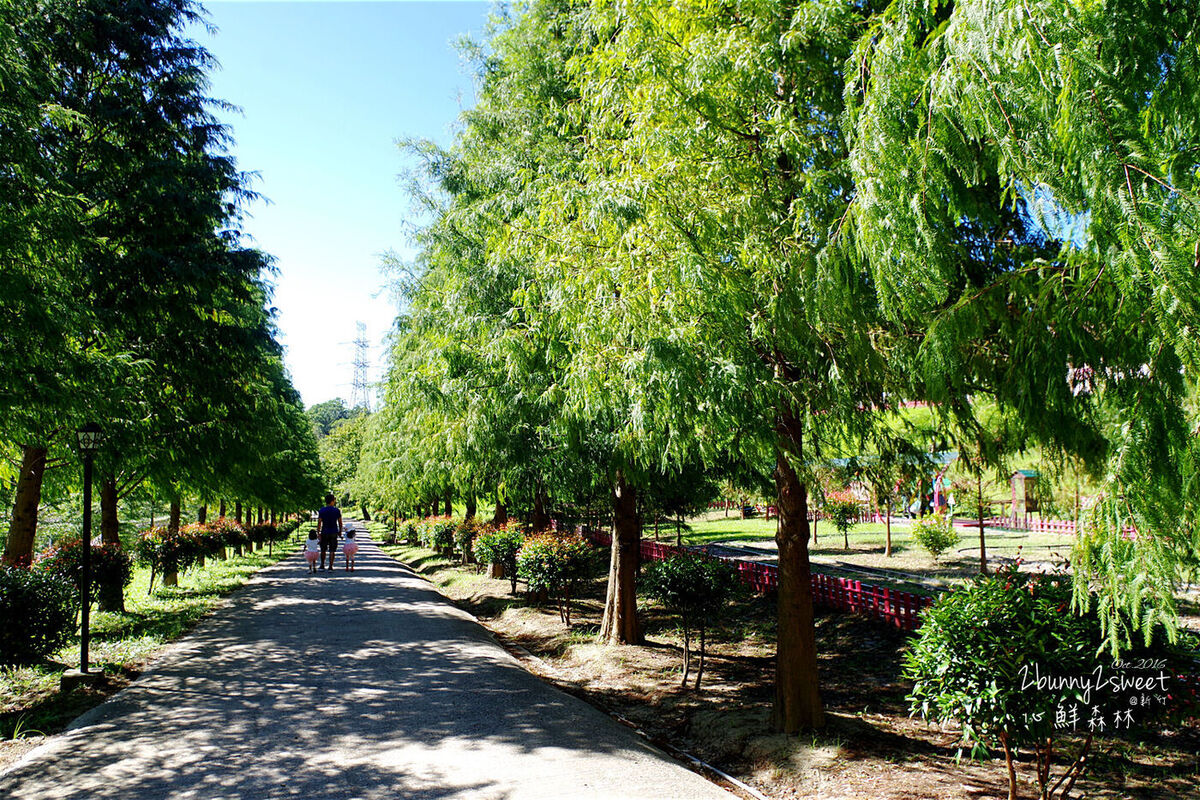 [新竹。親子景點] 心鮮森林莊園餐廳～沙坑、水池、DIY、大草坪、小火車、庭園造景～好好拍的庭園餐廳 @兔兒毛毛姊妹花