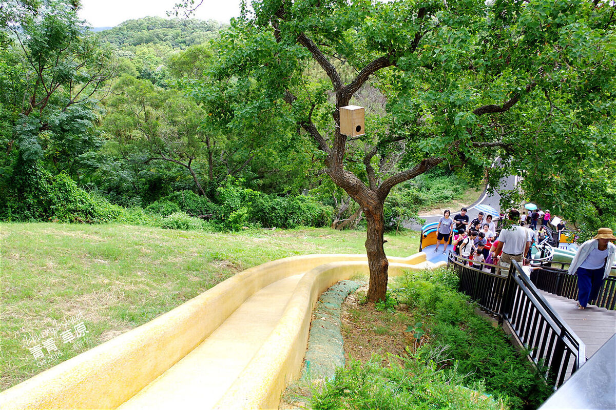 新竹特色公園》青青草原～大草原、攀爬網、四座磨石子超長溜滑梯～刺激又好玩的超長溜滑梯 @兔兒毛毛姊妹花