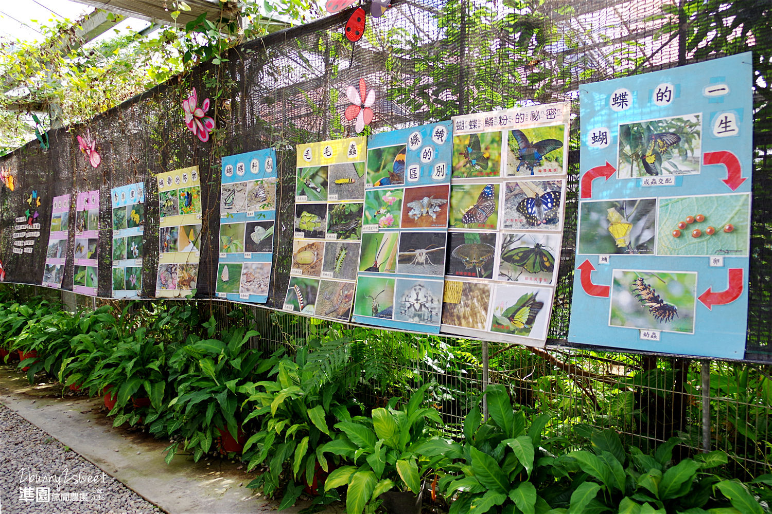 [新北。親子景點] 五股準園休閒生態農場～釣螯蝦、看動物、大草坪奔跑、再吹個七彩大泡泡～親子團康好去處!! @兔兒毛毛姊妹花