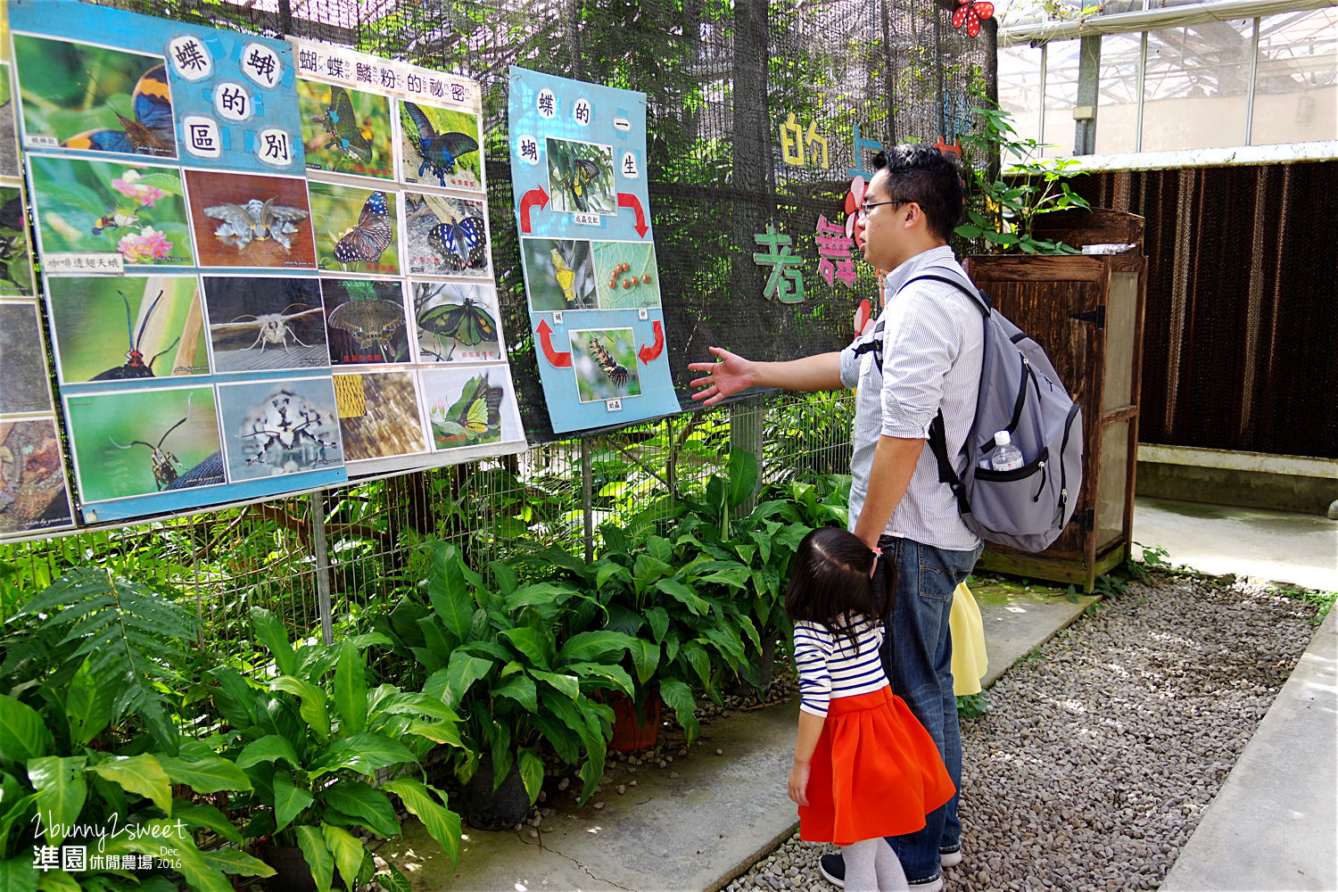 [新北。親子景點] 五股準園休閒生態農場～釣螯蝦、看動物、大草坪奔跑、再吹個七彩大泡泡～親子團康好去處!! @兔兒毛毛姊妹花