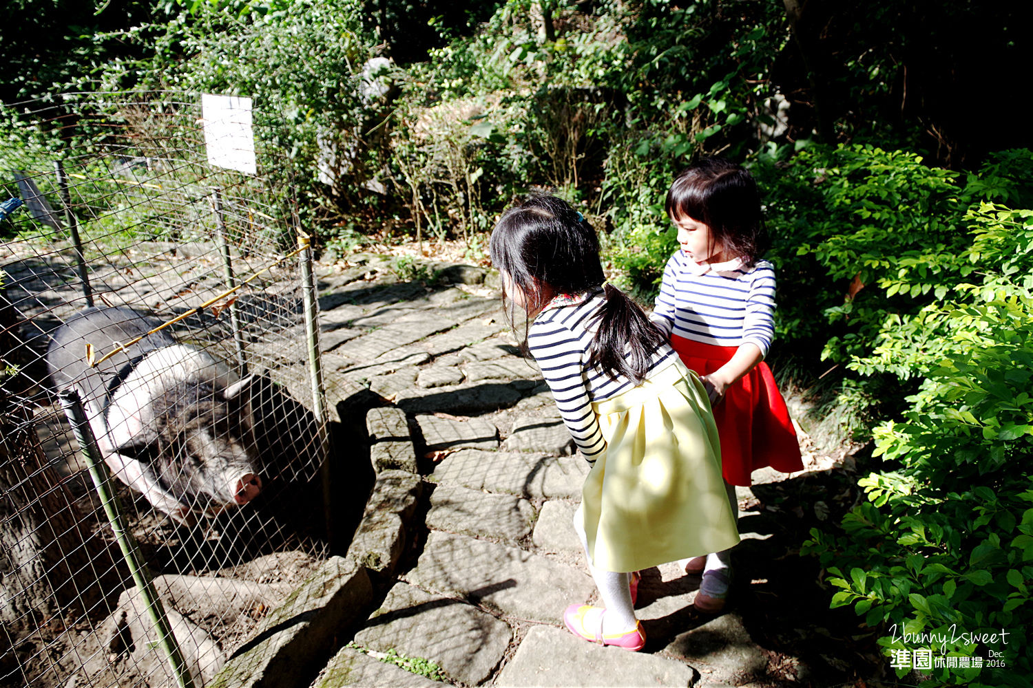 [新北。親子景點] 五股準園休閒生態農場～釣螯蝦、看動物、大草坪奔跑、再吹個七彩大泡泡～親子團康好去處!! @兔兒毛毛姊妹花