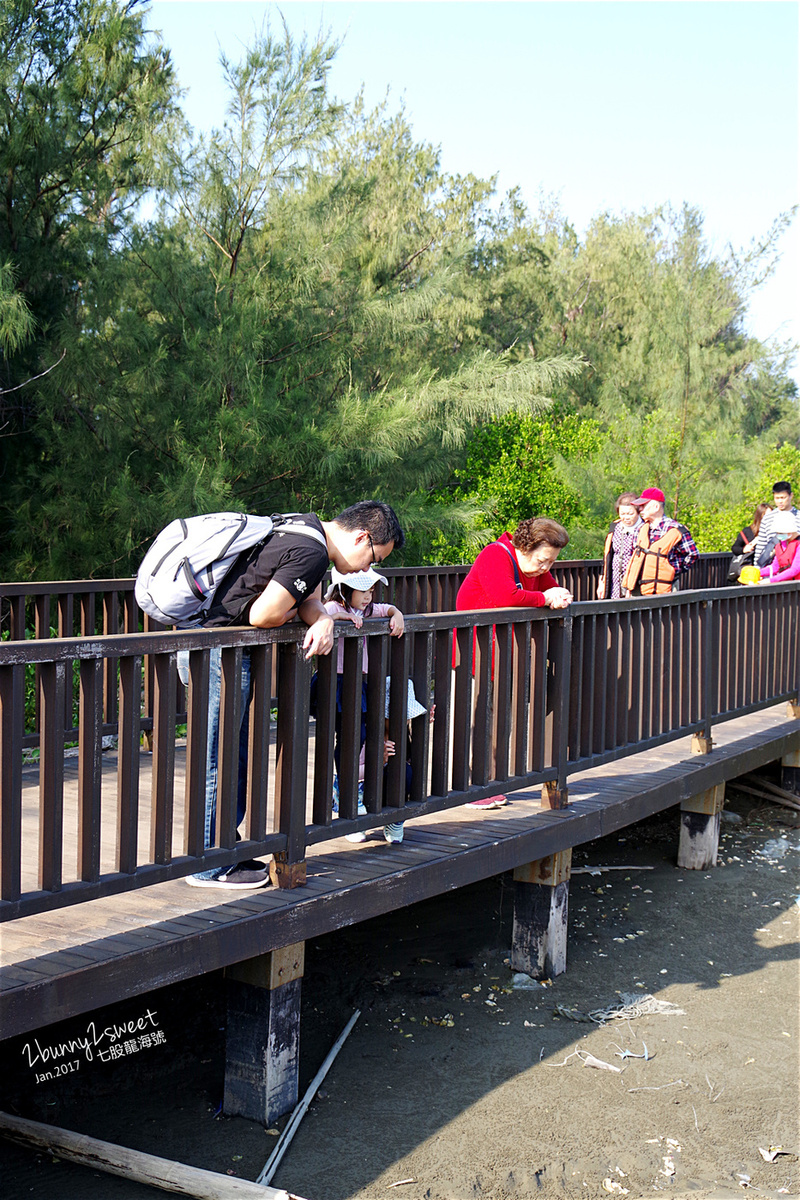 台南親子景點》七股龍海號 探索潟湖生態之旅～搭乘高級膠筏遊潟湖、看生態，看完蚵田直接來個烤蚵放題～精神味蕾都滿足的生態之旅 @兔兒毛毛姊妹花