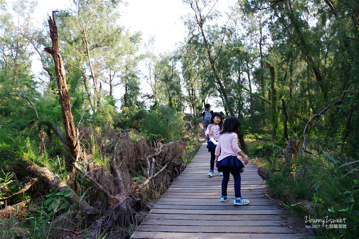 台南親子景點》七股龍海號 探索潟湖生態之旅～搭乘高級膠筏遊潟湖、看生態，看完蚵田直接來個烤蚵放題～精神味蕾都滿足的生態之旅 @兔兒毛毛姊妹花