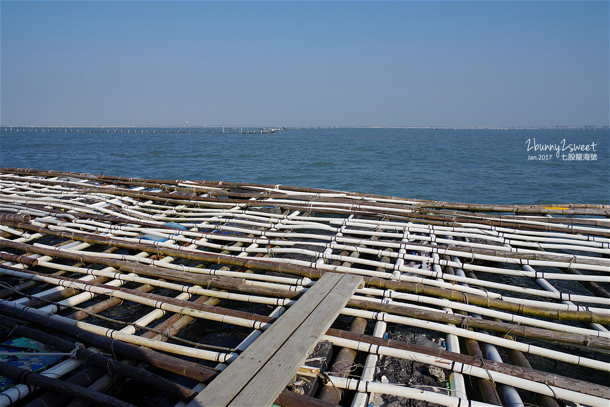 台南親子景點》七股龍海號 探索潟湖生態之旅～搭乘高級膠筏遊潟湖、看生態，看完蚵田直接來個烤蚵放題～精神味蕾都滿足的生態之旅 @兔兒毛毛姊妹花