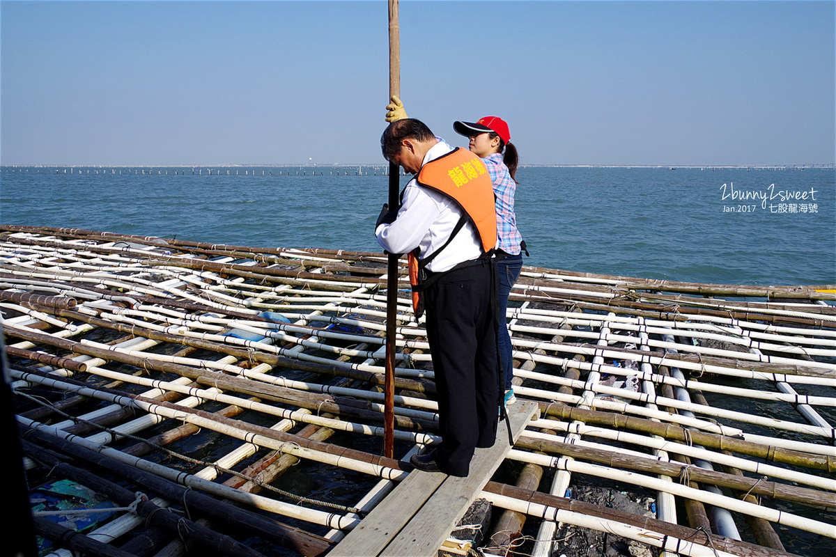 台南親子景點》七股龍海號 探索潟湖生態之旅～搭乘高級膠筏遊潟湖、看生態，看完蚵田直接來個烤蚵放題～精神味蕾都滿足的生態之旅 @兔兒毛毛姊妹花