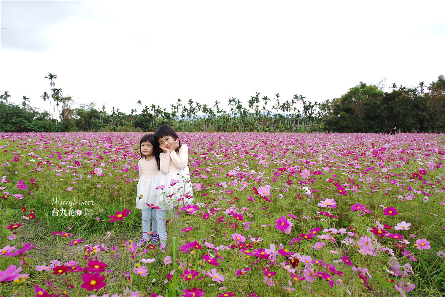 花蓮光復親子景點》花蓮觀光糖廠｜光復糖廠～來去免費老糖廠餵魚、吃冰、溜滑梯～花東縱谷必遊的免費景點｜花蓮台九線一日遊 @兔兒毛毛姊妹花