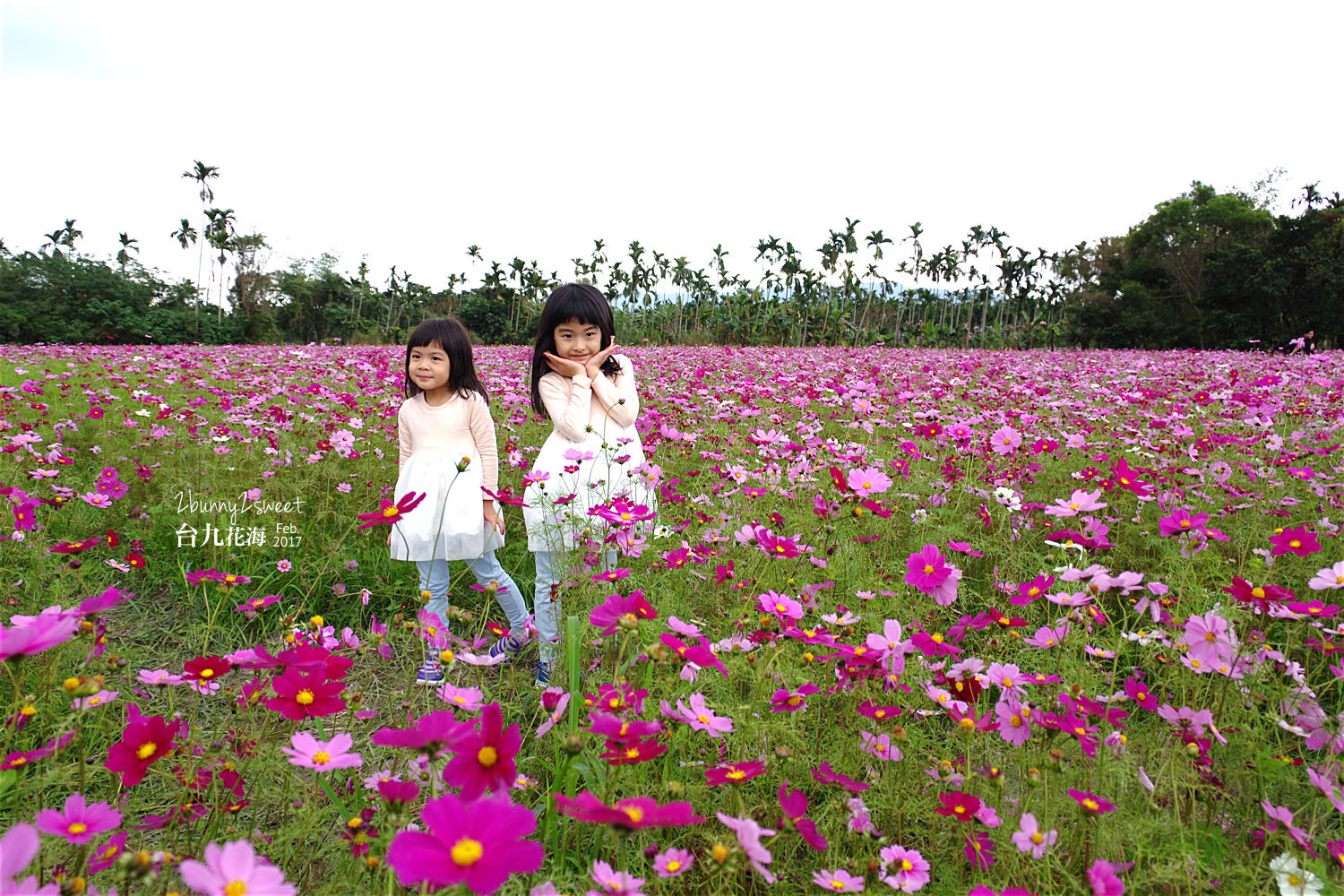 花蓮光復親子景點》花蓮觀光糖廠｜光復糖廠～來去免費老糖廠餵魚、吃冰、溜滑梯～花東縱谷必遊的免費景點｜花蓮台九線一日遊 @兔兒毛毛姊妹花