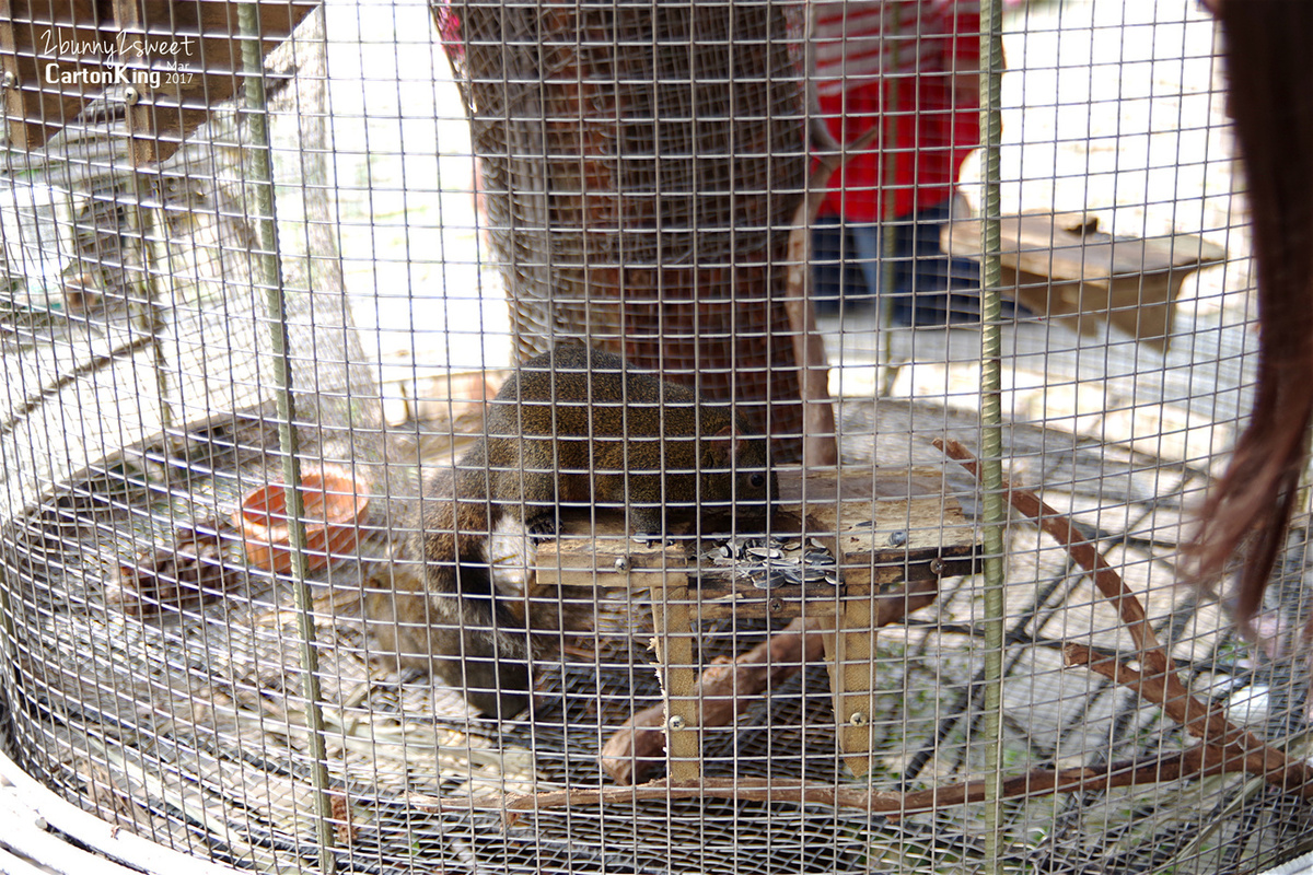 台中親子景點》大坑紙箱王創意園區～超萌紙箱動物園、浪漫好玩旋轉溜滑梯～好玩又好拍的遛小孩好去處 @兔兒毛毛姊妹花