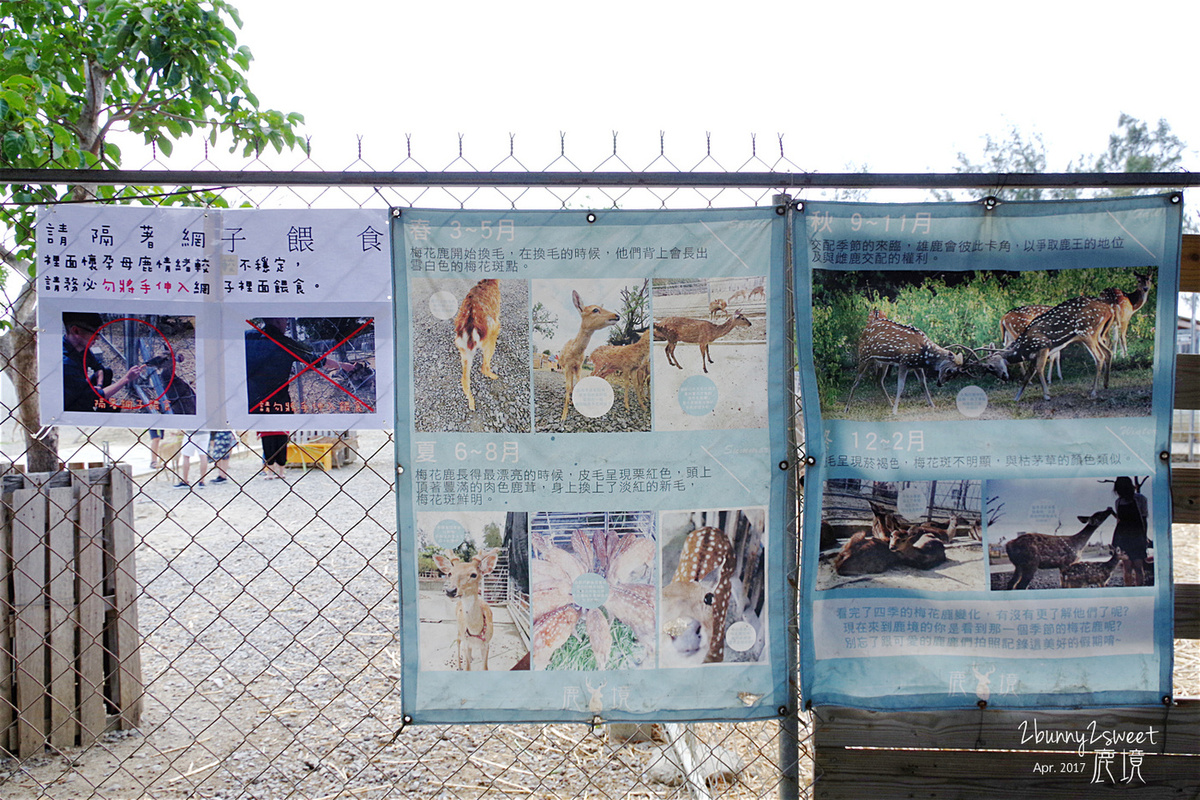 鹿境梅花鹿生態園區｜屏東景點墾丁小奈良梅花鹿農場，也有萌萌水豚君進駐 @兔兒毛毛姊妹花