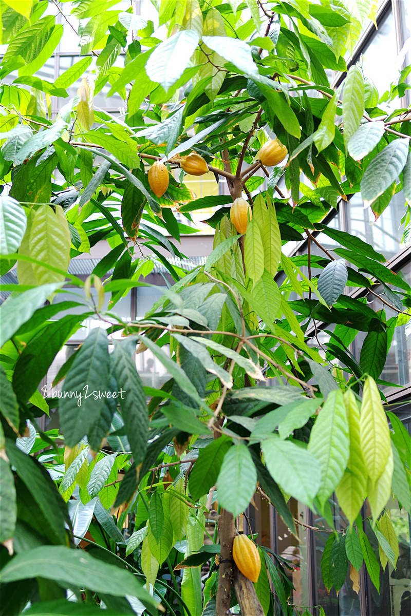 桃園八德親子景點》宏亞巧克力共和國～不只是巧克力觀光工廠，還可以玩水、尬車、吃美食、做 DIY｜桃園八德觀光工廠｜雨天景點｜室內景點 @兔兒毛毛姊妹花