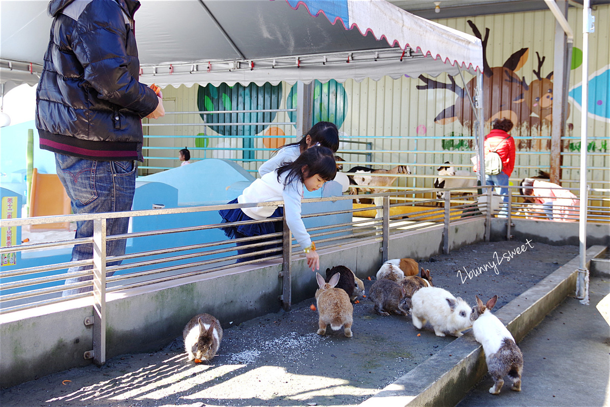 宜蘭親子餐廳》礁溪水鹿咖啡親子餐廳~超大戶外遊戲區有溜滑梯、盪鞦韆、撈魚遊戲和超級大沙坑，還可以餵食小兔子和羊咩咩～搬新家後更讚了!! @兔兒毛毛姊妹花