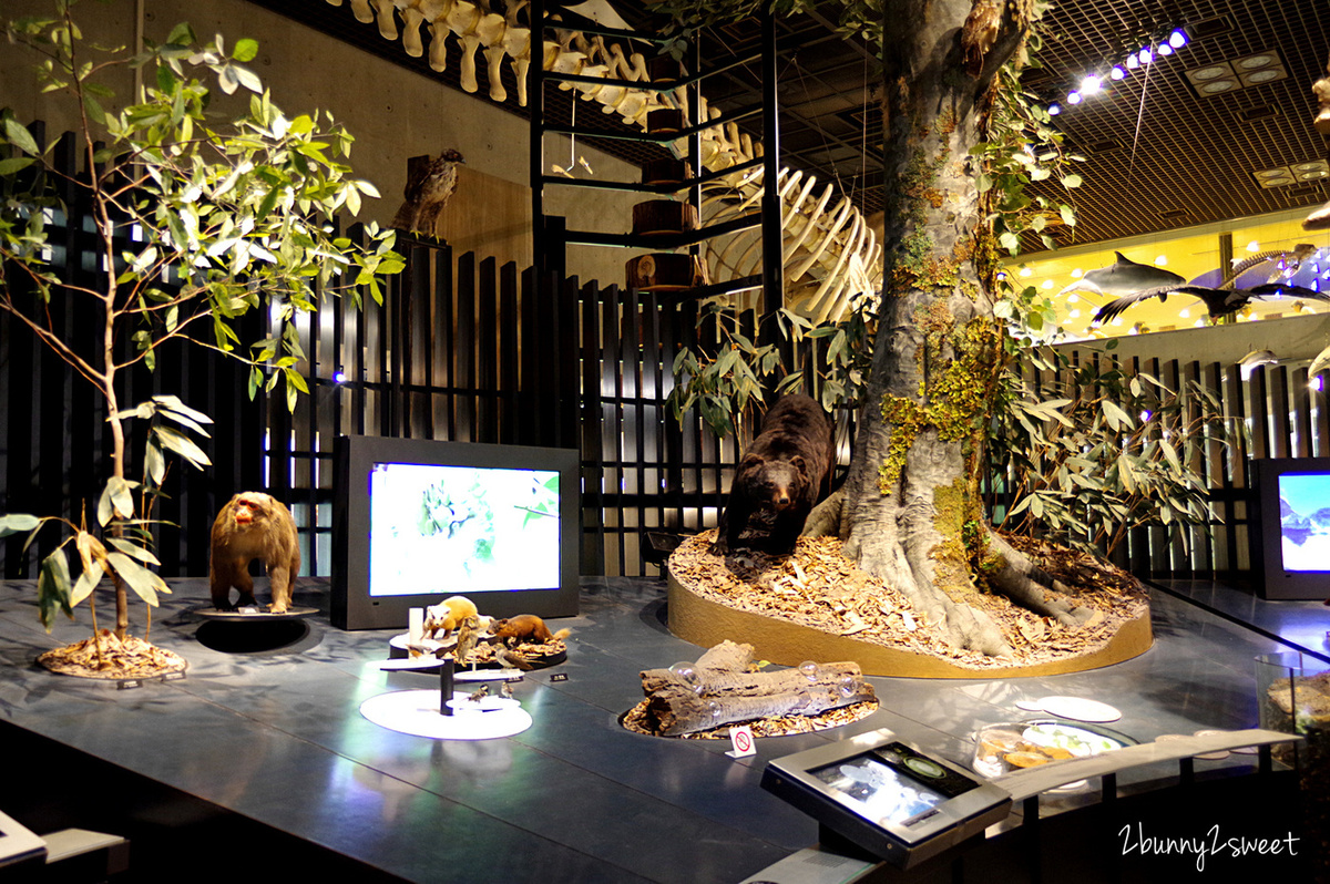 東京親子景點》國立科學博物館～東京上野公園必遊景點，不只有科學展示還有森林動物兒童遊戲室 @兔兒毛毛姊妹花