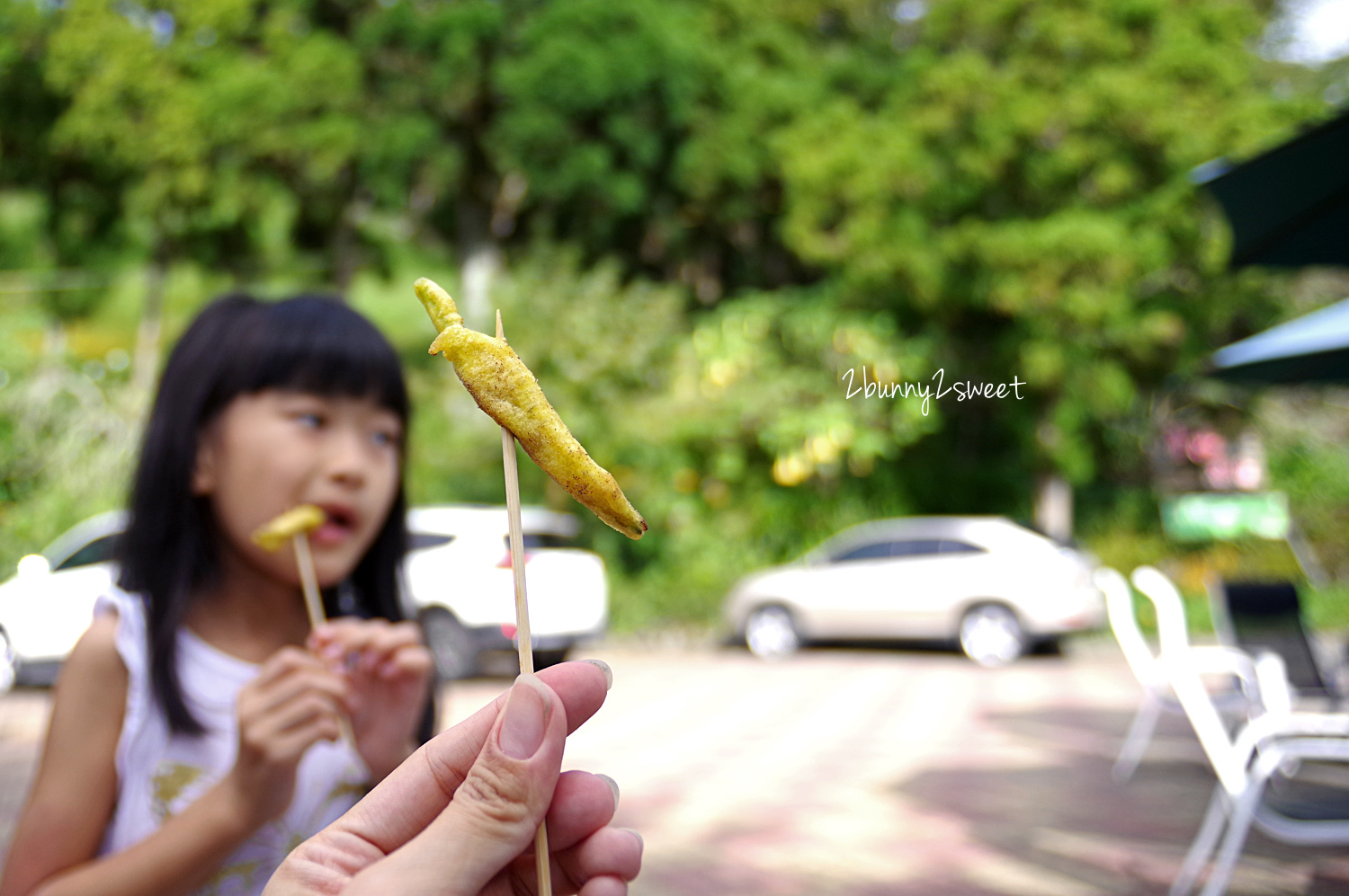 [台東。親子景點] 太麻里金針山～徜徉在超療癒金黃花海中，還能吃到好吃的炸金針～青山農場｜金針山｜2018 中秋連假花況 @兔兒毛毛姊妹花