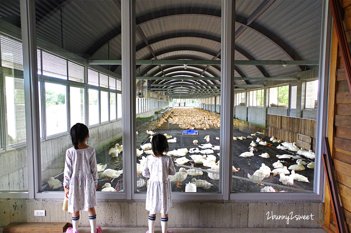 宜蘭親子景點》甲鳥園～來去好好拍清水模高級鴨鴨豪宅 餵鴨鴨、做 DIY、吃鴨蛋糕和滷鴨蛋～宜蘭礁溪遛小孩好去處｜室內景點｜雨天景點 @兔兒毛毛姊妹花