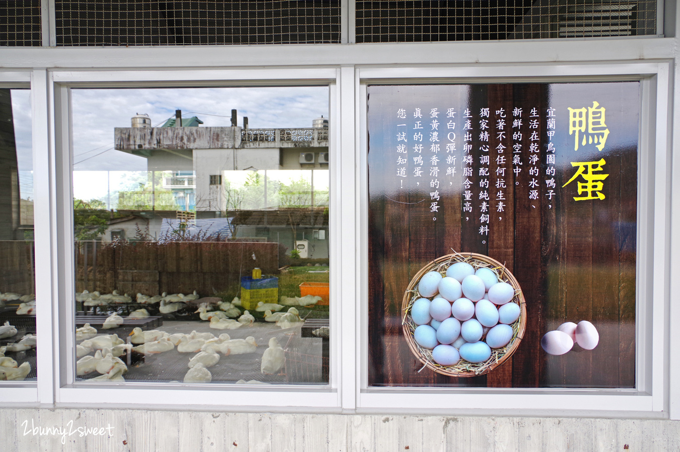 宜蘭親子景點》甲鳥園～來去好好拍清水模高級鴨鴨豪宅 餵鴨鴨、做 DIY、吃鴨蛋糕和滷鴨蛋～宜蘭礁溪遛小孩好去處｜室內景點｜雨天景點 @兔兒毛毛姊妹花