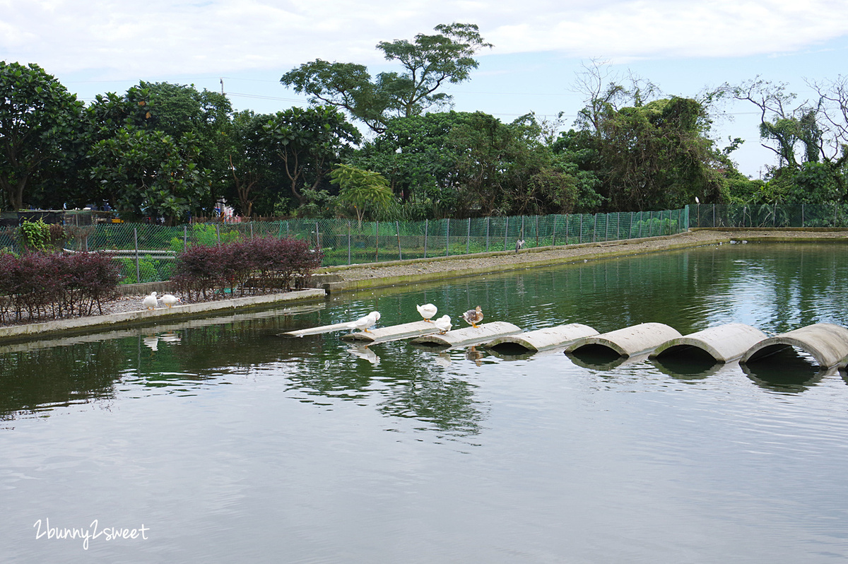 宜蘭親子景點》甲鳥園～來去好好拍清水模高級鴨鴨豪宅 餵鴨鴨、做 DIY、吃鴨蛋糕和滷鴨蛋～宜蘭礁溪遛小孩好去處｜室內景點｜雨天景點 @兔兒毛毛姊妹花