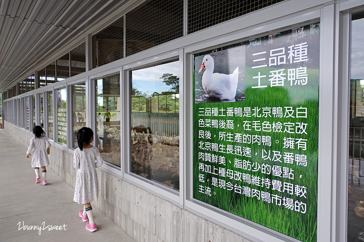 宜蘭親子景點》甲鳥園～來去好好拍清水模高級鴨鴨豪宅 餵鴨鴨、做 DIY、吃鴨蛋糕和滷鴨蛋～宜蘭礁溪遛小孩好去處｜室內景點｜雨天景點 @兔兒毛毛姊妹花