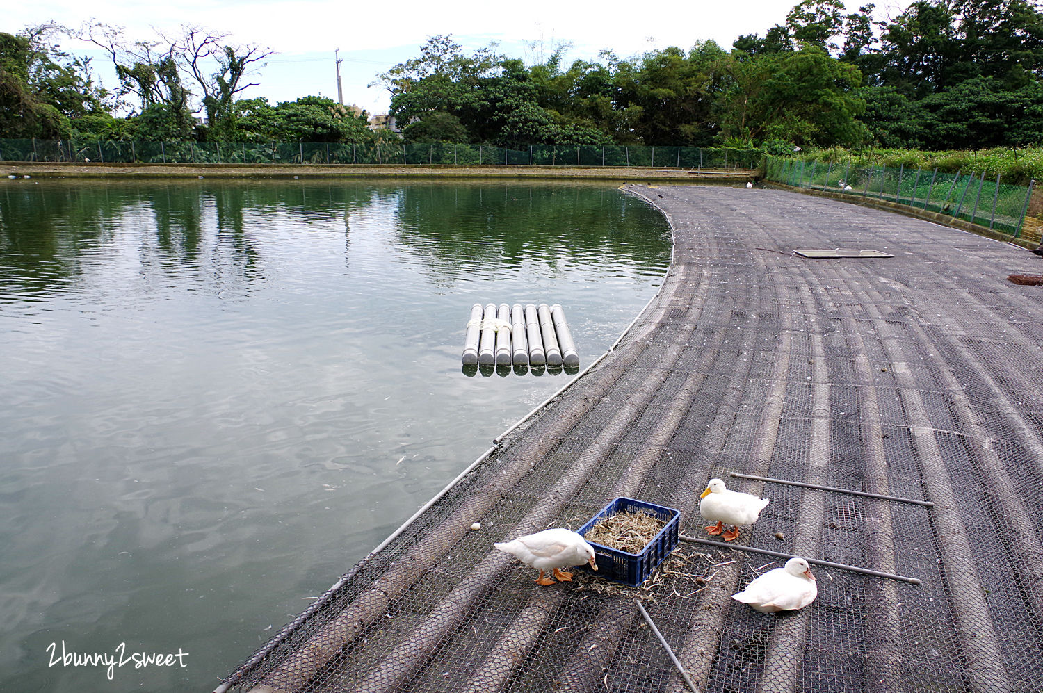 宜蘭親子景點》甲鳥園～來去好好拍清水模高級鴨鴨豪宅 餵鴨鴨、做 DIY、吃鴨蛋糕和滷鴨蛋～宜蘭礁溪遛小孩好去處｜室內景點｜雨天景點 @兔兒毛毛姊妹花