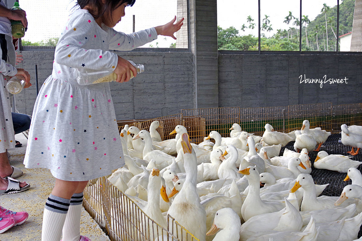 宜蘭親子景點》甲鳥園～來去好好拍清水模高級鴨鴨豪宅 餵鴨鴨、做 DIY、吃鴨蛋糕和滷鴨蛋～宜蘭礁溪遛小孩好去處｜室內景點｜雨天景點 @兔兒毛毛姊妹花