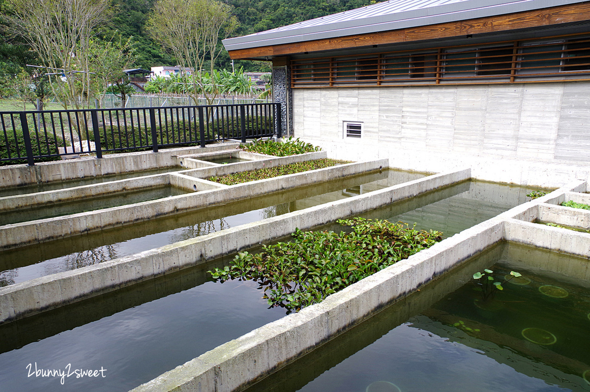 宜蘭親子景點》甲鳥園～來去好好拍清水模高級鴨鴨豪宅 餵鴨鴨、做 DIY、吃鴨蛋糕和滷鴨蛋～宜蘭礁溪遛小孩好去處｜室內景點｜雨天景點 @兔兒毛毛姊妹花