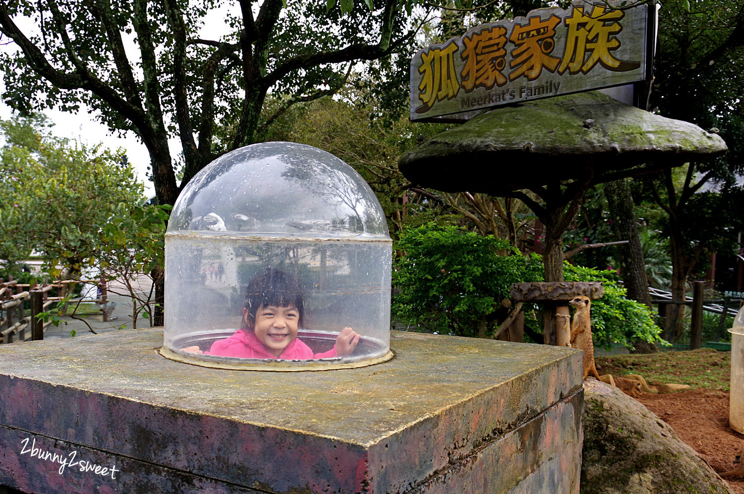 [親子旅遊] 漢聲租車 六福村主題樂園優惠套票～門票 + 包車到府接送～親子遊六福村更方便、輕鬆、省時、便宜的方式｜包車旅遊｜優惠門票 @兔兒毛毛姊妹花