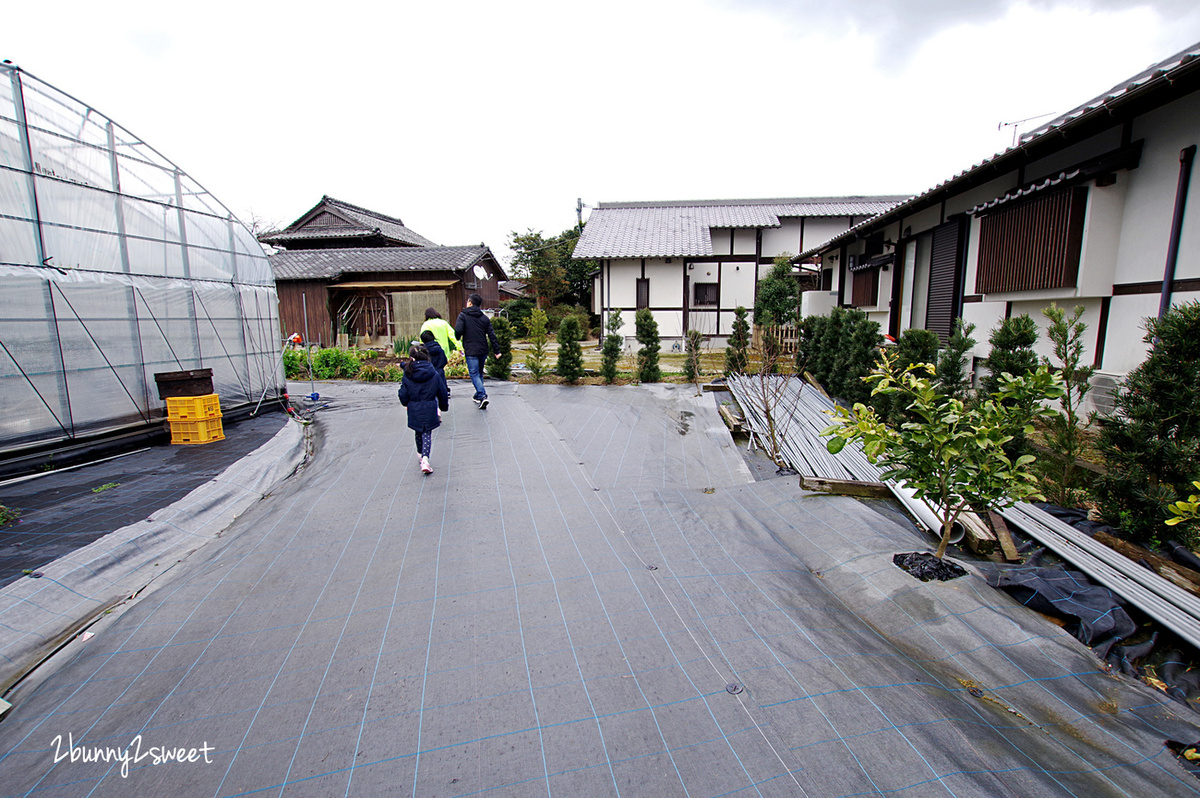 九州福岡親子景點》白木農園｜白木のいちご しあわせもん～九州福岡自採草莓吃到飽果園 50 分食べ放題 @兔兒毛毛姊妹花