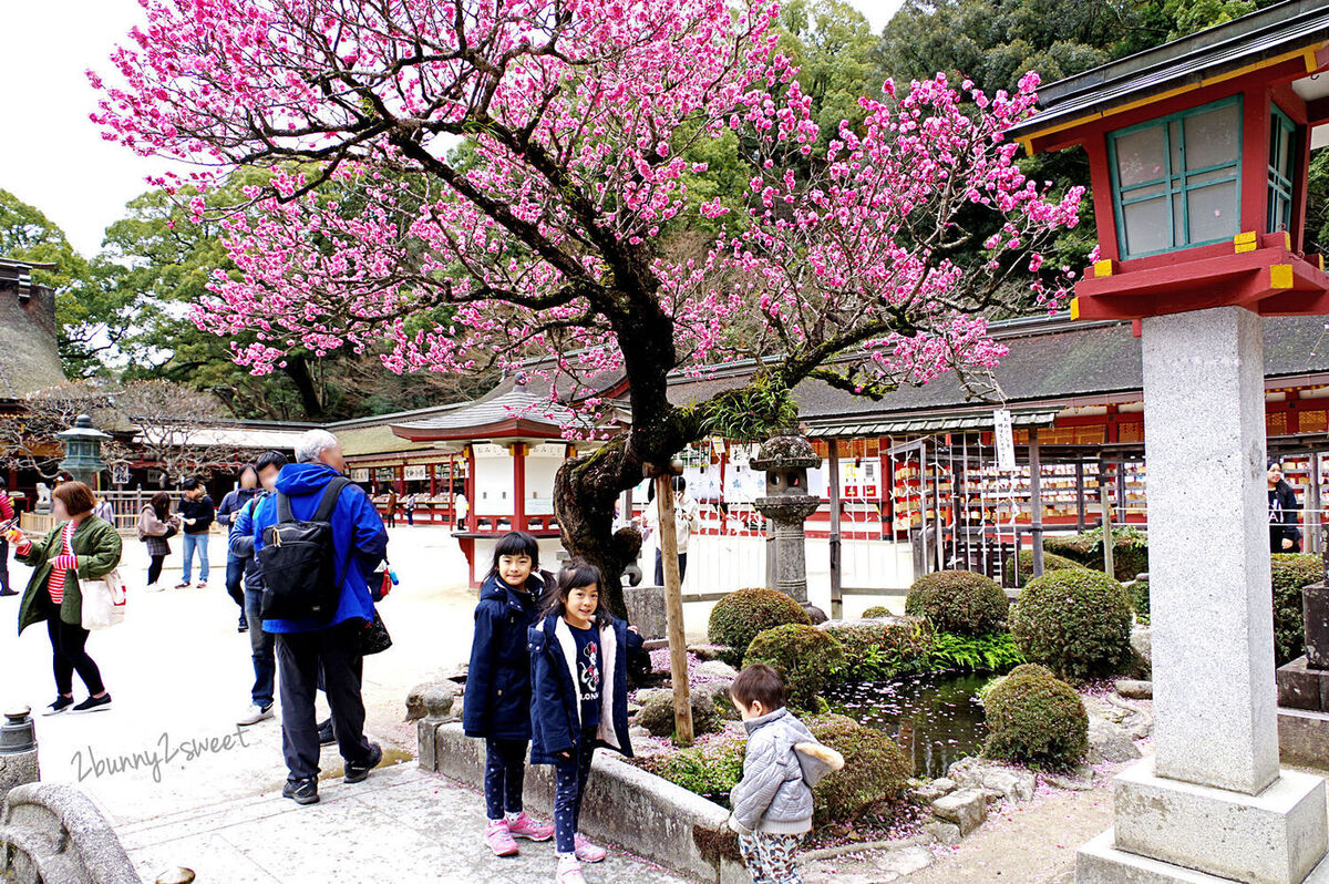 九州福岡景點》太宰府天滿宮半日遊～交通、停車、景點、美食全攻略～必吃一蘭合格拉麵、太宰府名物梅枝餅、壽子屋手工仙貝、天山鬼瓦最中八女茶草莓大福&#038;串蕨，必拍日本十大最美星巴克 @兔兒毛毛姊妹花