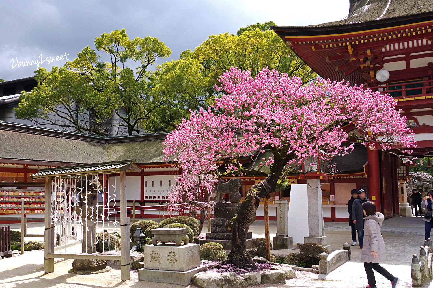 九州福岡景點》太宰府天滿宮半日遊～交通、停車、景點、美食全攻略～必吃一蘭合格拉麵、太宰府名物梅枝餅、壽子屋手工仙貝、天山鬼瓦最中八女茶草莓大福&#038;串蕨，必拍日本十大最美星巴克 @兔兒毛毛姊妹花