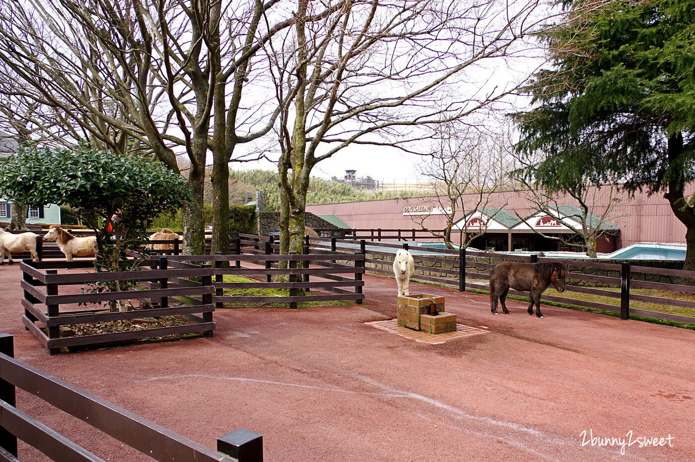 九州親子景點》九州自然野生動物園 African Safari～搭乘叢林巴士近距離餵獅子、看長頸鹿、餵大象，還有可愛動物可以互動 @兔兒毛毛姊妹花