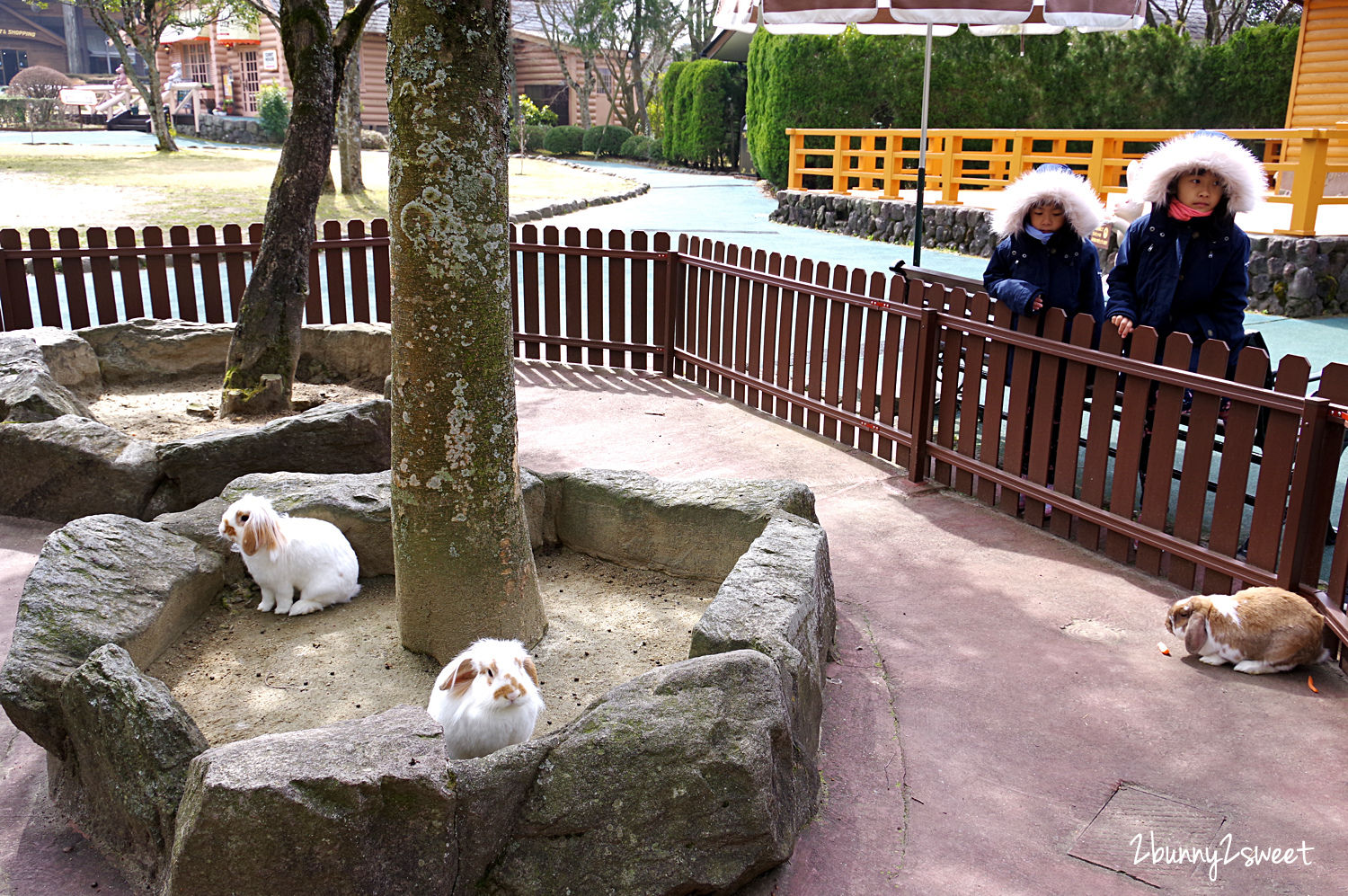 九州親子景點》九州自然野生動物園 African Safari～搭乘叢林巴士近距離餵獅子、看長頸鹿、餵大象，還有可愛動物可以互動 @兔兒毛毛姊妹花