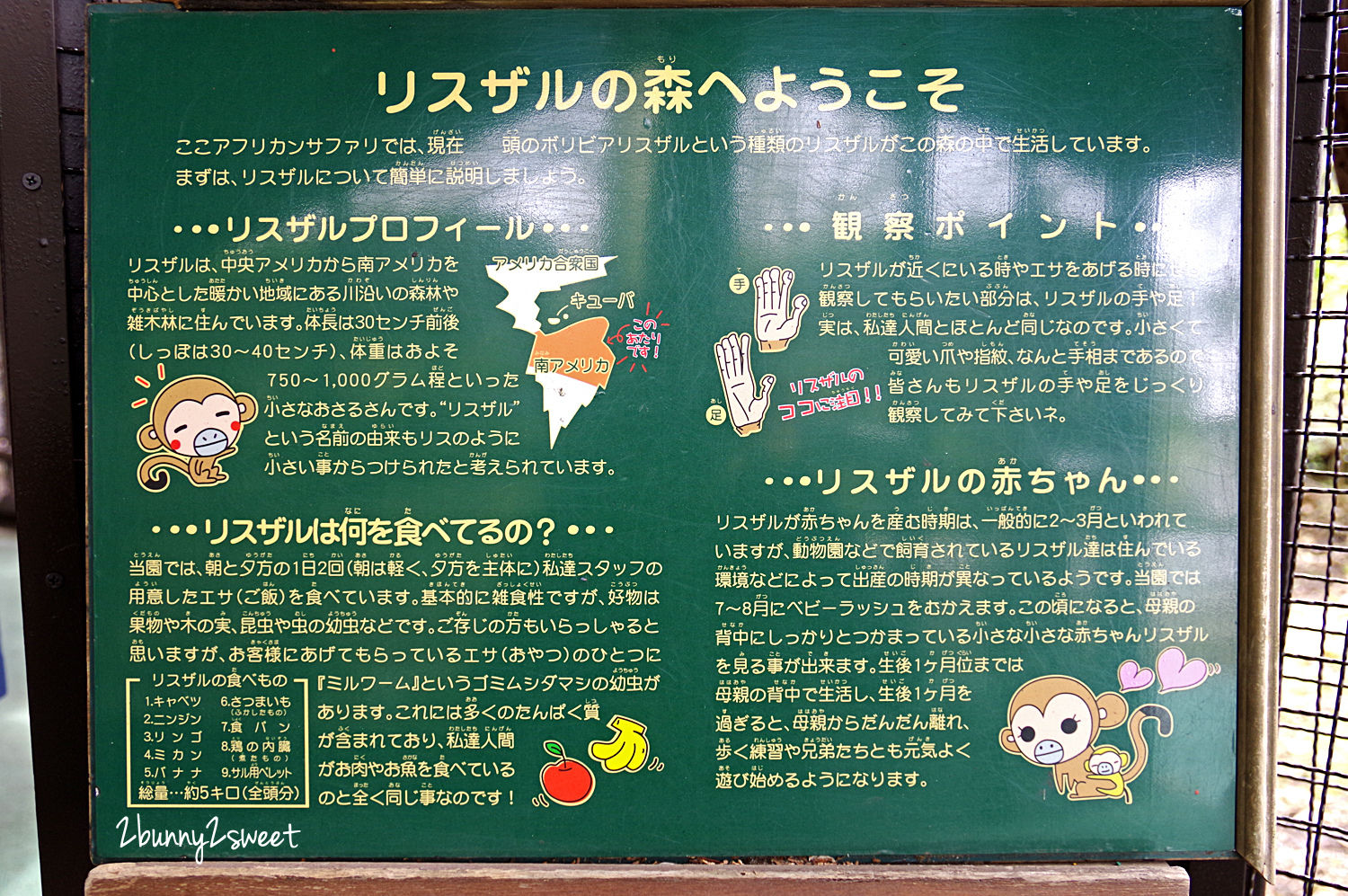 九州親子景點》九州自然野生動物園 African Safari～搭乘叢林巴士近距離餵獅子、看長頸鹿、餵大象，還有可愛動物可以互動 @兔兒毛毛姊妹花