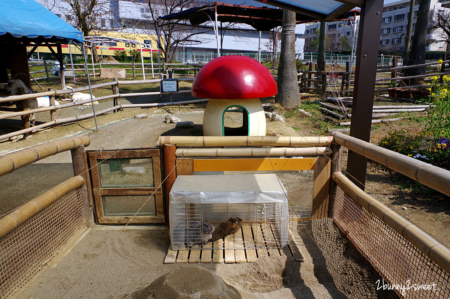 [九州｜福岡。親子景點] 香椎花園 森林家族樂園～走進放大版森林家族世界，和森林小動物們一起遊戲、野餐、合照!! 還有 20 多種遊樂設施、室內外遊樂場、主題餐廳和漂亮的花園～九州福岡遛小孩好去處 @兔兒毛毛姊妹花