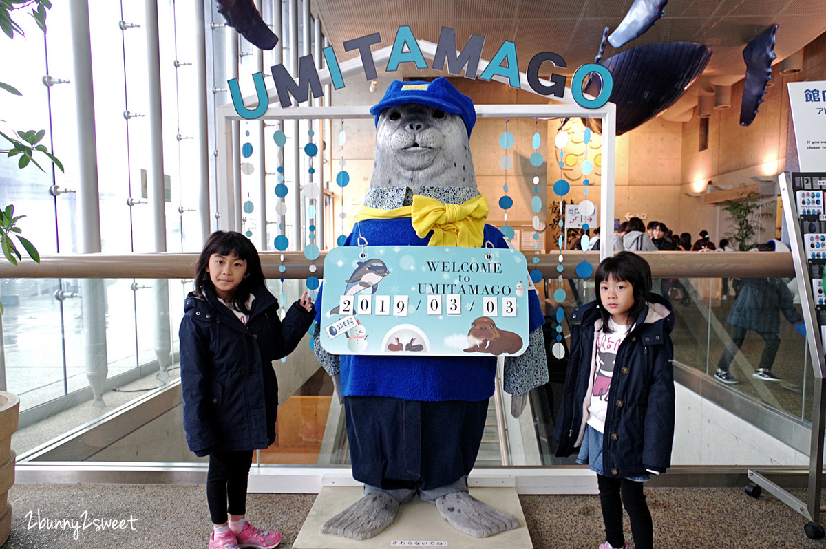 九州大分親子景點》大分海洋宮殿水族館 海之卵｜うみたまご～未來感白色蛋形展覽廳 x 超萌海洋生物室內遊戲區 x 海獺、海獅、海象、鵜鶘大明星表演 x 近距離與海豚玩耍戲水池～九州大分室內景點｜雨天景點 @兔兒毛毛姊妹花